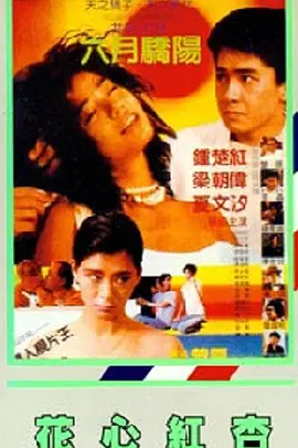 国产精品第一区在线观看